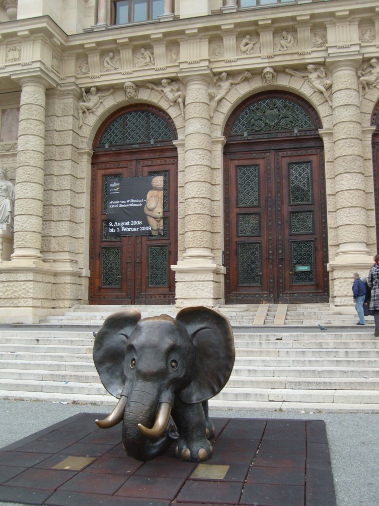 Museo de historia natural  (1)