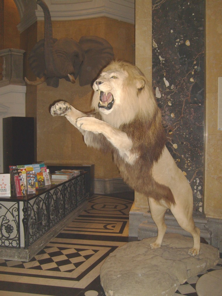 Museo de historia natural  (5)