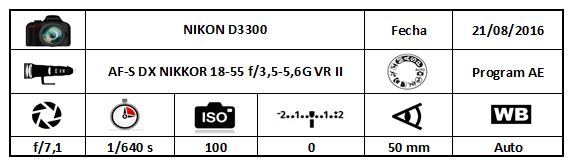Avión cortando cielo Info