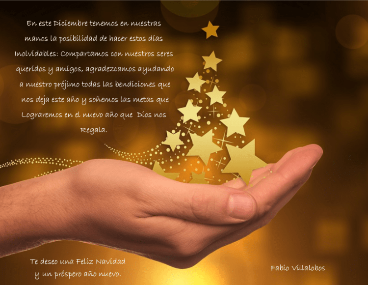 Feliz Navidad FaVi