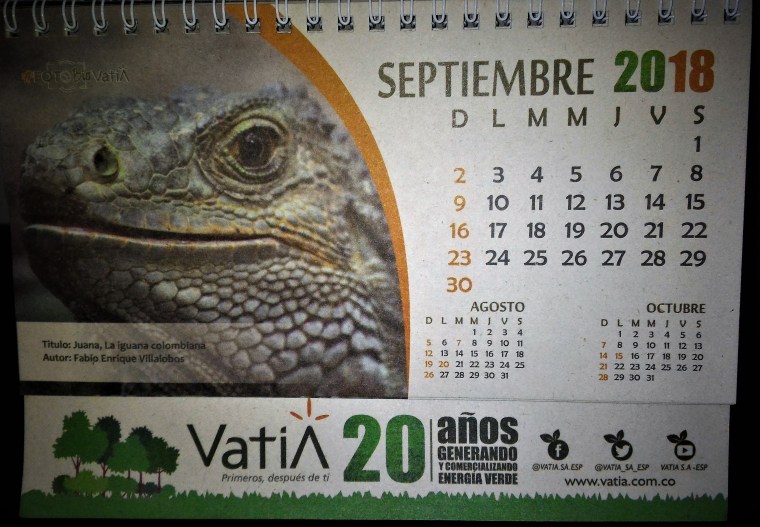 Calendario Vatia